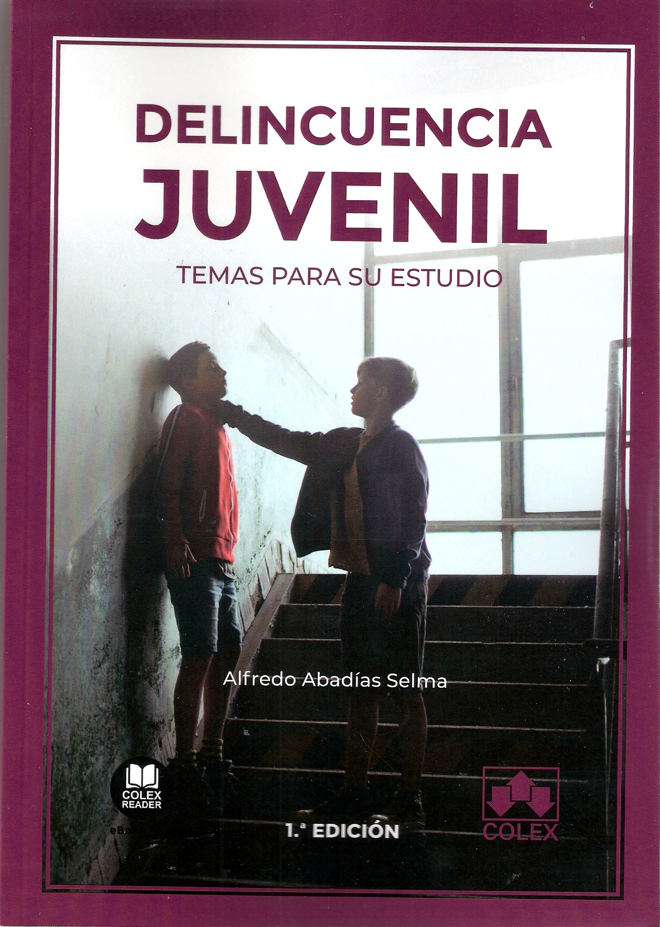 Portada de DELINCUENCIA JUVENIL. TEMAS PARA SU ESTUDIO